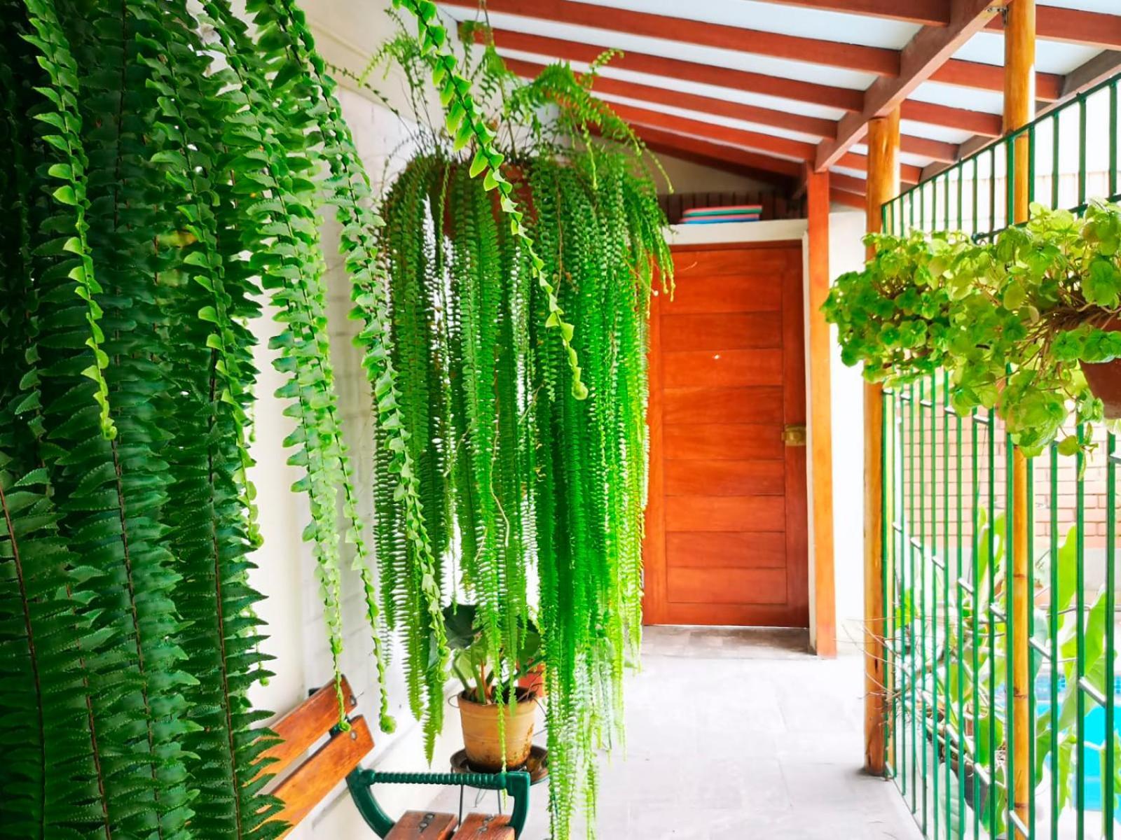 Апартаменты Casa Amarello Лима Экстерьер фото